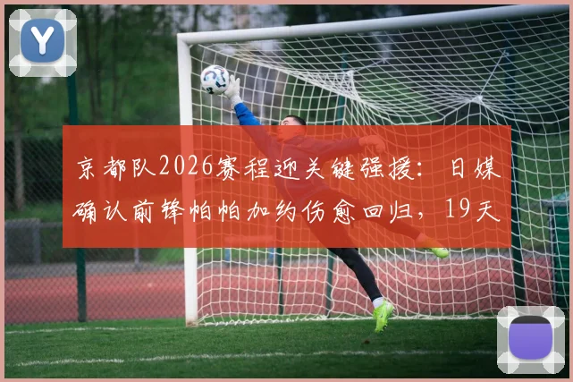 京都队2026赛程迎关键强援：日媒确认前锋帕帕加约伤愈回归，19天6战密集赛程获重要补强